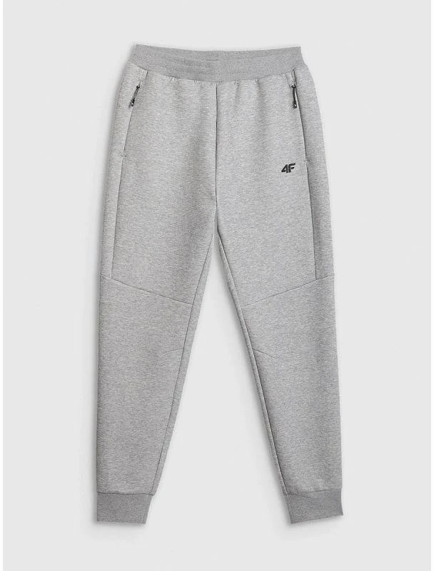 Vyriškos jogger tipo kelnės 4F 4FRMM00TTROM1623-27M