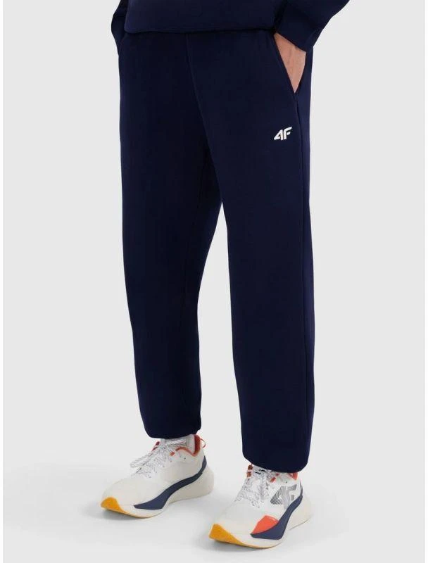Vyriškos jogger tipo kelnės 4F 4FRMM00TTROM1625-31S