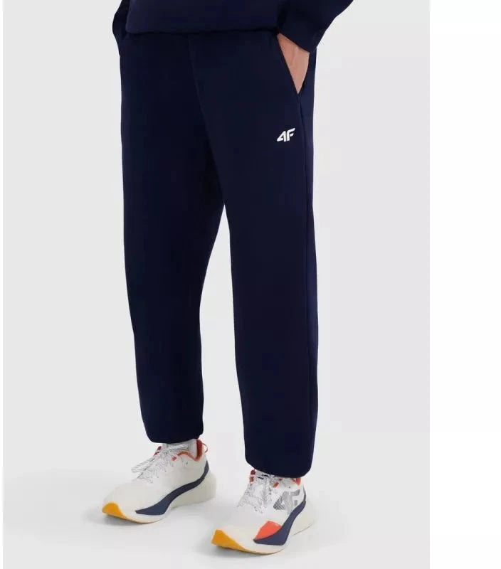 Vyriškos jogger tipo kelnės 4F 4FRMM00TTROM1625-31S