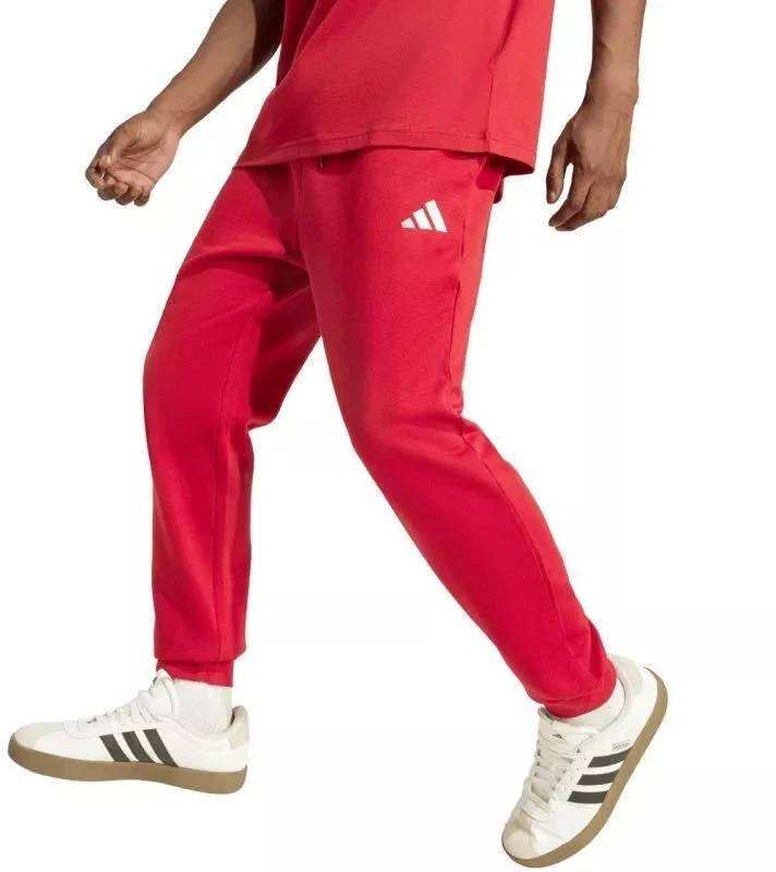Vyriškos kelnės adidas Essentials Feelcozy, Raudonos, KC0915 adidas