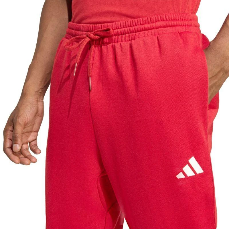 Vyriškos kelnės adidas Essentials Feelcozy, Raudonos, KC0915 adidas