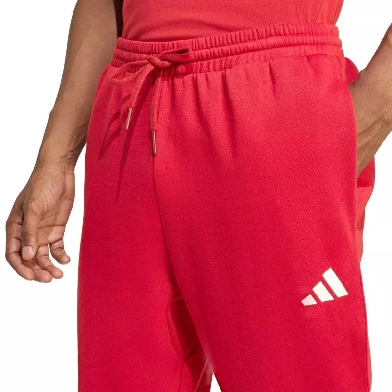 Vyriškos kelnės adidas Essentials Feelcozy, Raudonos, KC0915 adidas