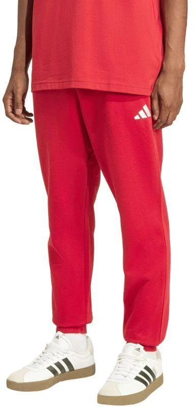 Vyriškos kelnės adidas Essentials Feelcozy, Raudonos, KC0915 adidas