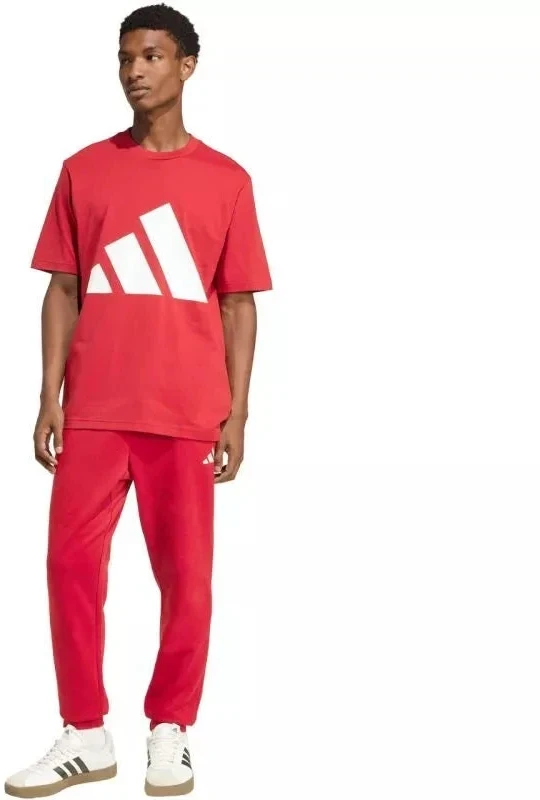Vyriškos kelnės adidas Essentials Feelcozy, Raudonos, KC0915 adidas