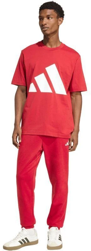 Vyriškos kelnės adidas Essentials Feelcozy, Raudonos, KC0915 adidas