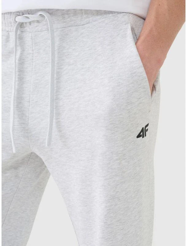 Vyriškos kelnės-jogger 4F 4FWMM00TTROM1139-27M