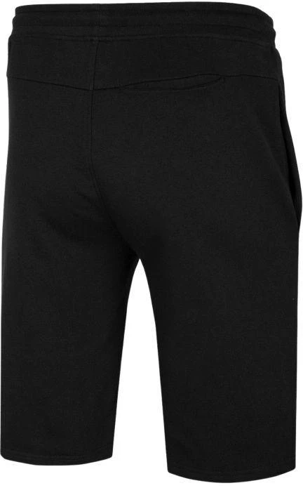 Vyriškos sportinės kelnės 4F 4FWSS26TSHOM0999-020S