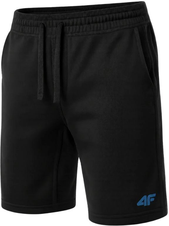 Vyriškos sportinės kelnės 4F 4FWSS26TSHOM0999-020S