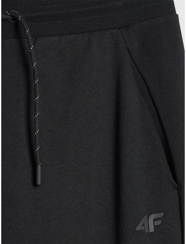 Vyriškos sportinės kelnės 4F jogger, juodos