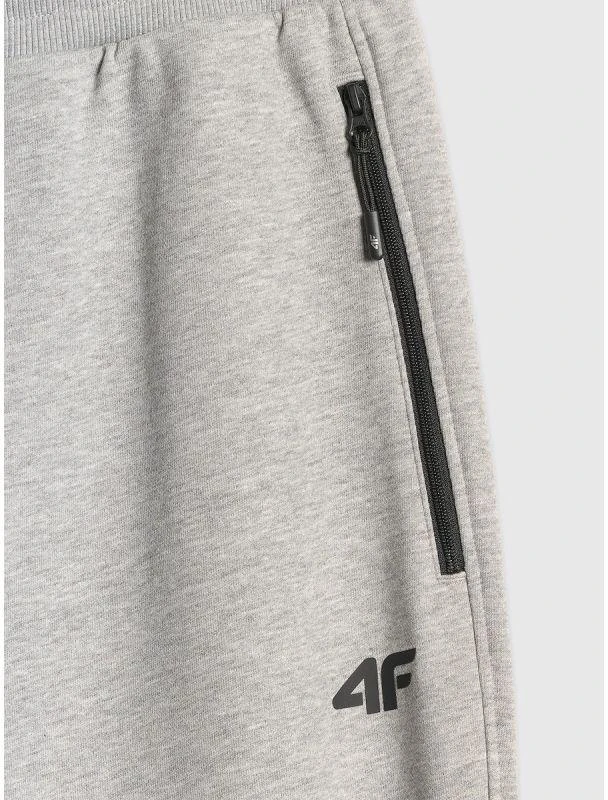 Vyriškos sportinės kelnės (jogger) 4F 4FRMM00TTROM2020-27M