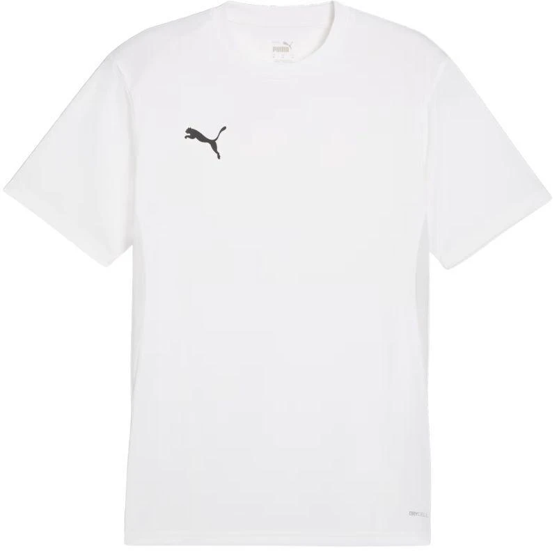 Vyrų Puma TeamGoal marškinėliai, balti, 658636 04