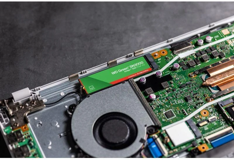 Ausinės WD Žalias SN3000 500 GB M.2 NVMe WDS500G4G0E SSD