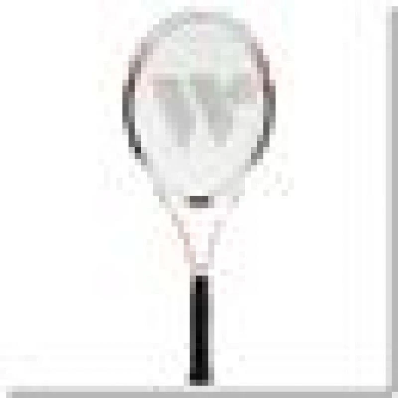 WISH WS4001 PROFESIONALUS BADMINTONO TINKLAS PAGEIDAUJA