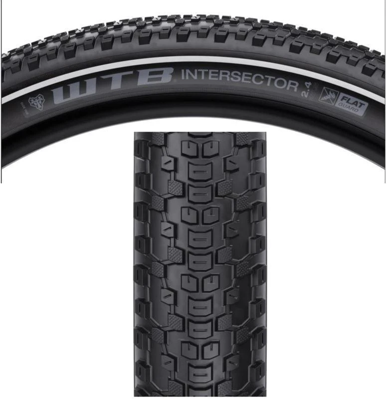 WTB Padanga 29'' 2.4 INTERSECTOR FG 30 TPI DNA