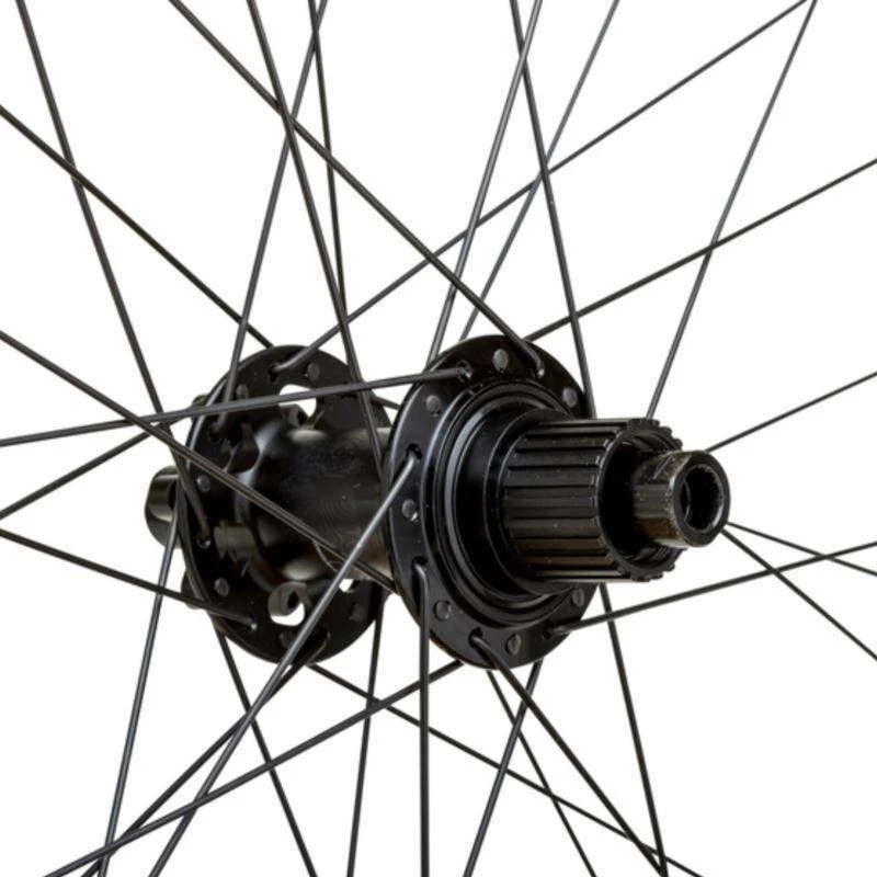 WTB PROTERRA i30x29'' galinis 148x12 32 6 varžtų SMS