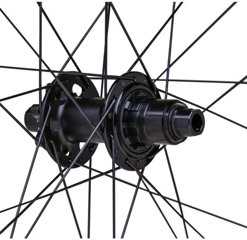 WTB Ratas PROTERRA i23x700x galinis 142x12 28 6 varžtų SR