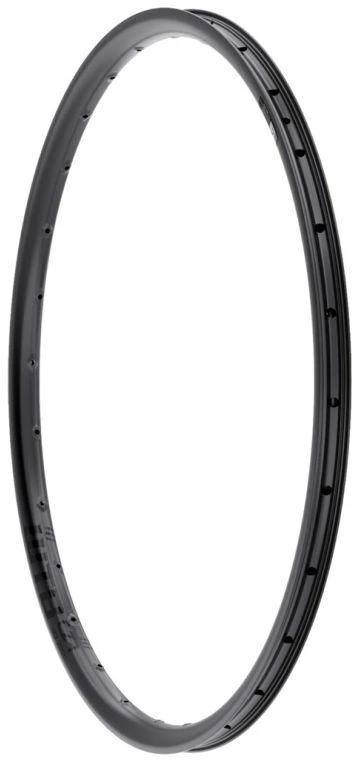 WTB Ratlankis CZR i-30 28 skylučių 29''