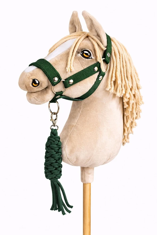 Super Hobby Horse Raitelio žirgo rinkinys vaikams su pavadėliu, butelių žalia