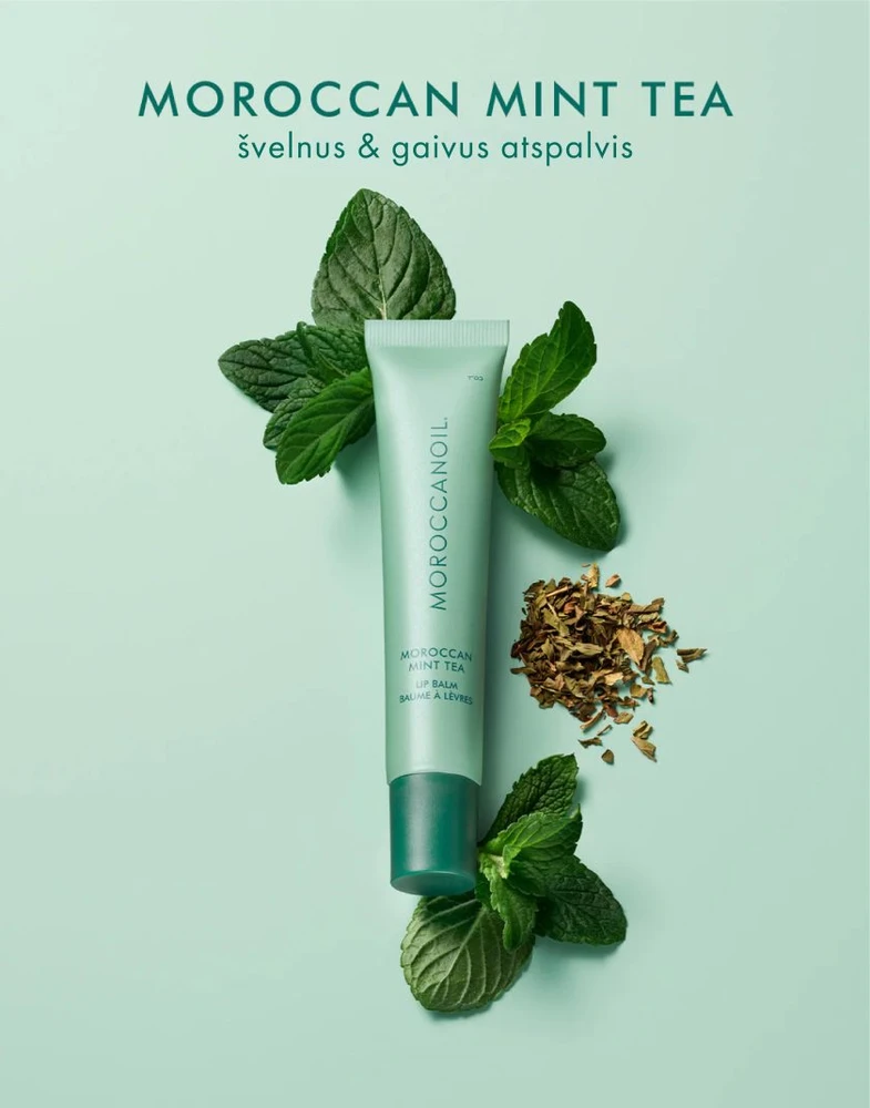 MOROCCANOIL maitinantis lūpų balzamas - Maroko mėtų arbata, 15g | Mint Tea Lūpų balzamas, 15g