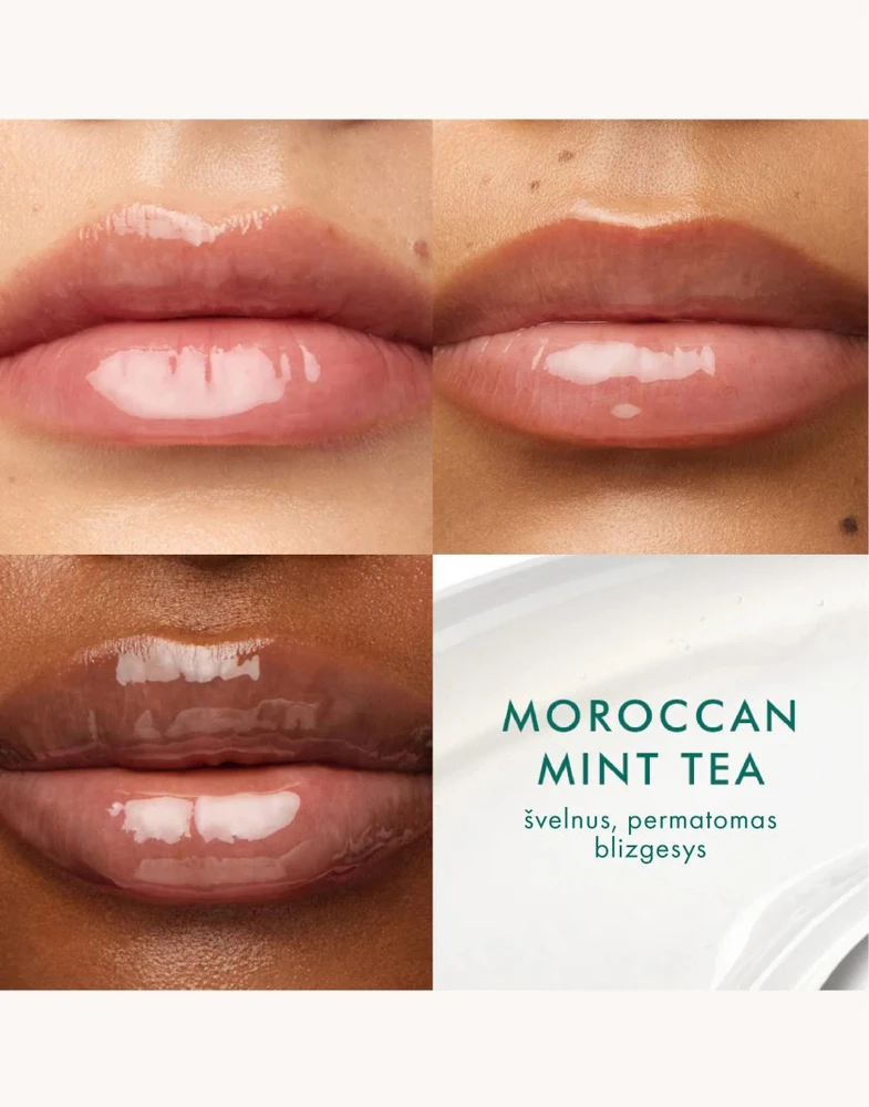 MOROCCANOIL maitinantis lūpų balzamas - Maroko mėtų arbata, 15g | Mint Tea Lūpų balzamas, 15g