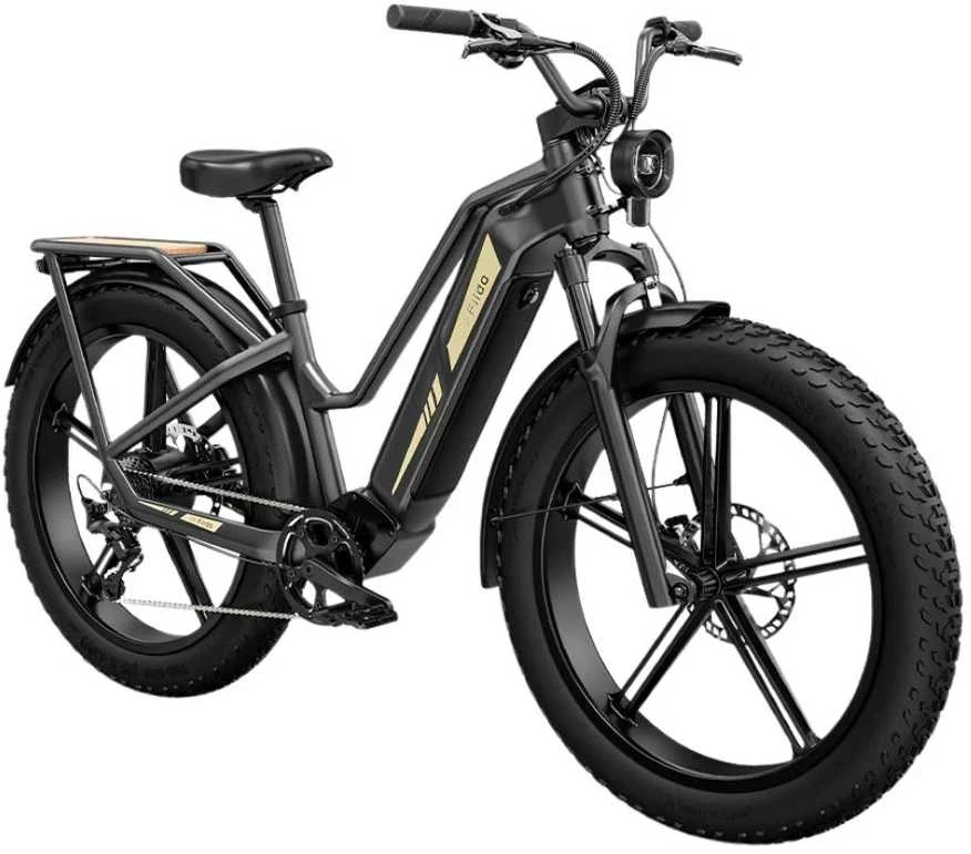 Elektrinis dviratis Fiido Titan, 26", 750W, 14,5Ah, juodas