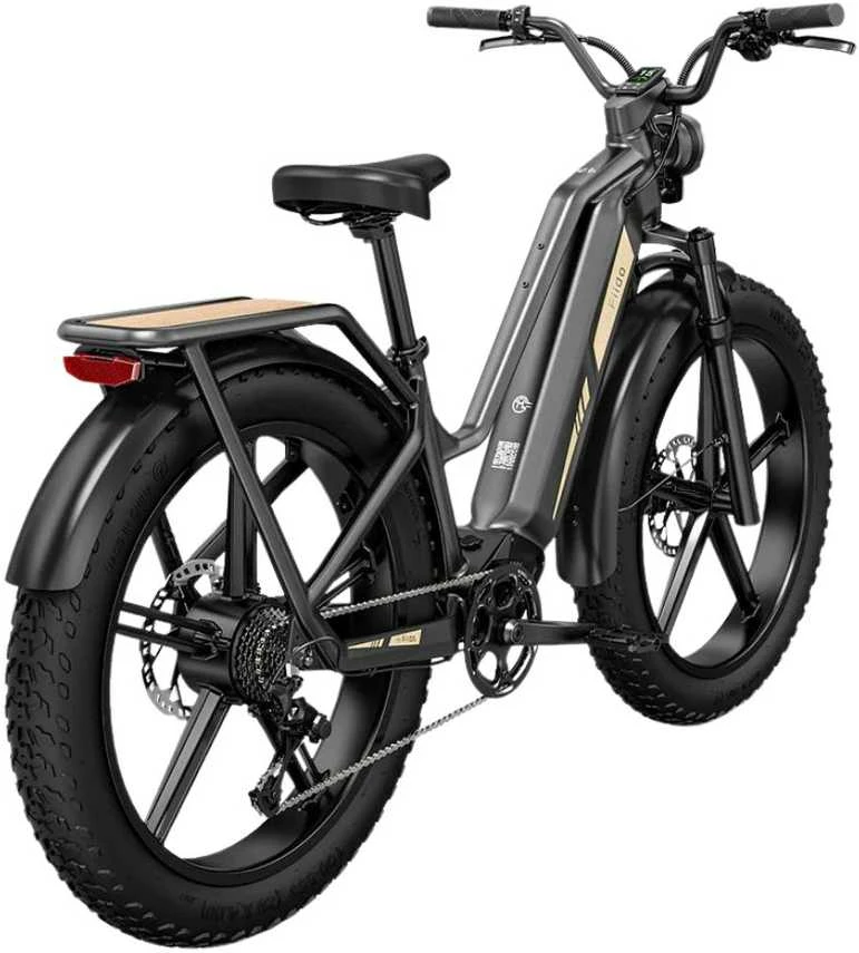 Elektrinis dviratis Fiido Titan, 26", 750W, 14,5Ah, juodas