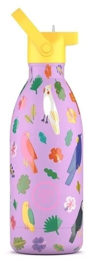 Cool Bottles - Nerūdijančio plieno vaikiškas buteliukas su šiaudeliu arba užsukimu, 500ml (Fly free)