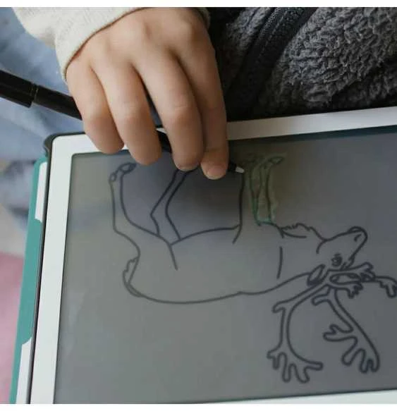 KIDYWOLF piešimo planšetė Animals Around The World, KIDYDRAW-MINI-AAW