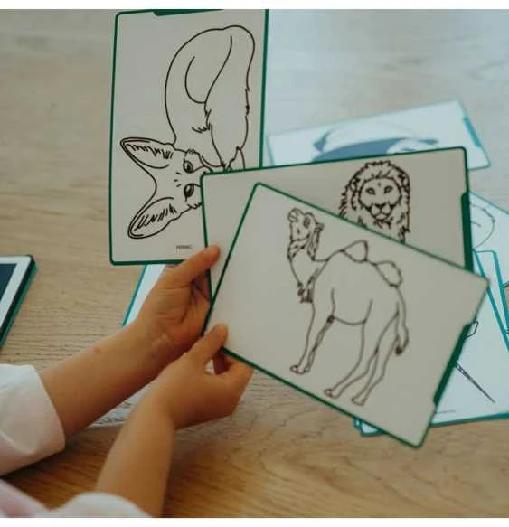 KIDYWOLF piešimo planšetė Animals Around The World, KIDYDRAW-MINI-AAW