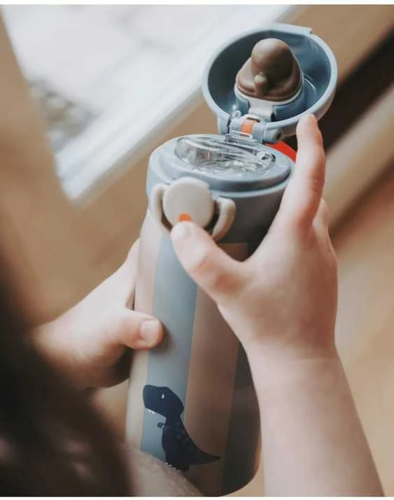 NOUI NOUI nerūdijančio plieno gertuvė, 350 ml, Dinozauras