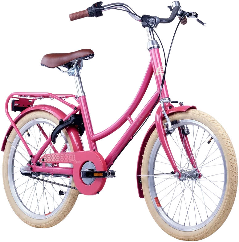 None Vaikiškas dviratis S'COOL chiX Classic, 20" uogų/rusvai geltonas