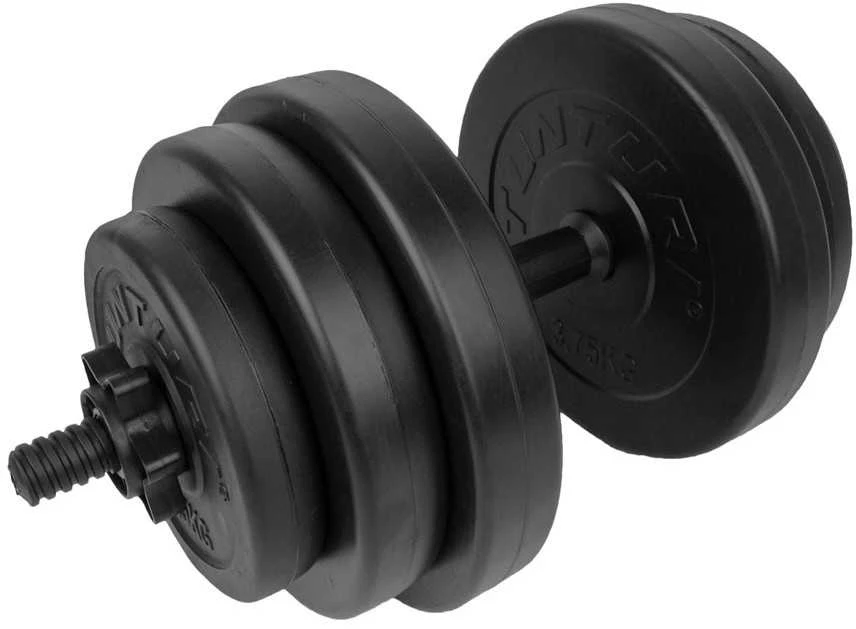 Svarmenų rinkinys Tunturi, 15 kg