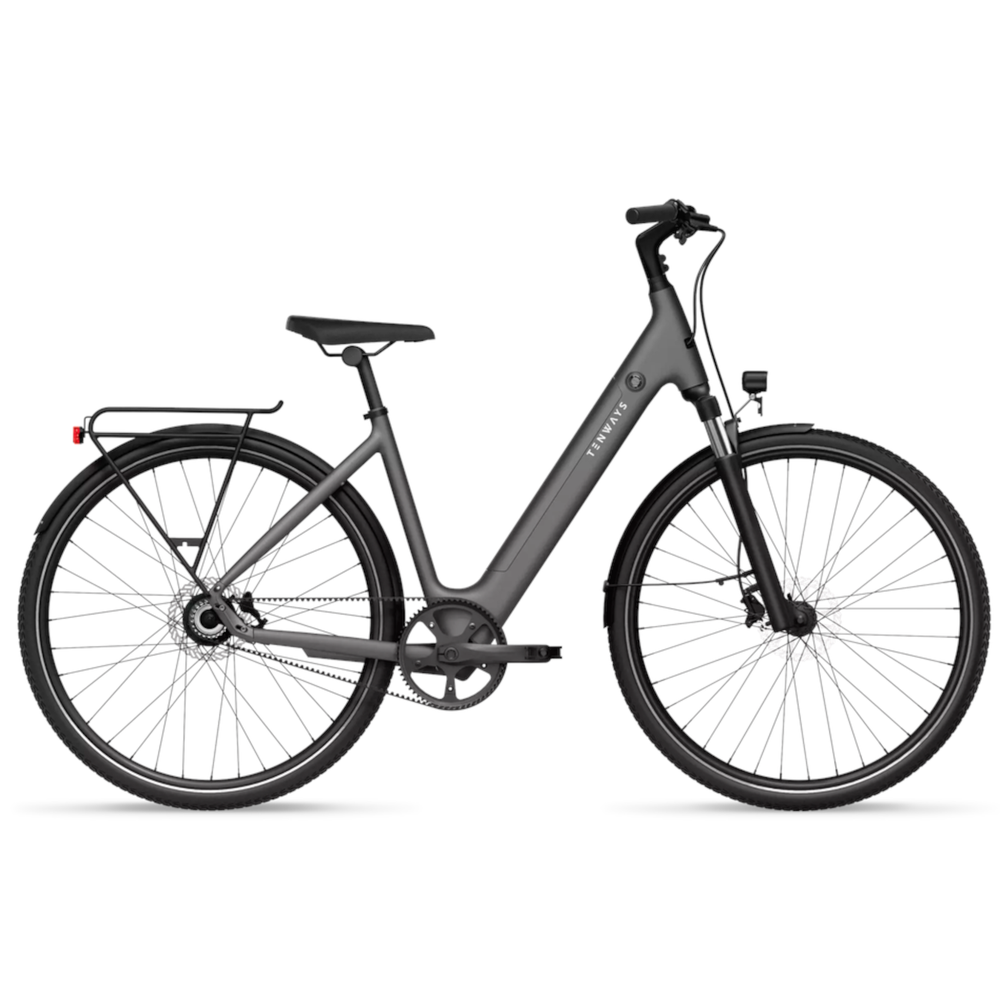 Dviratis 28" elektrinis Tenways CGO800S 374Wh unisex pilkas matinis 48cm one size