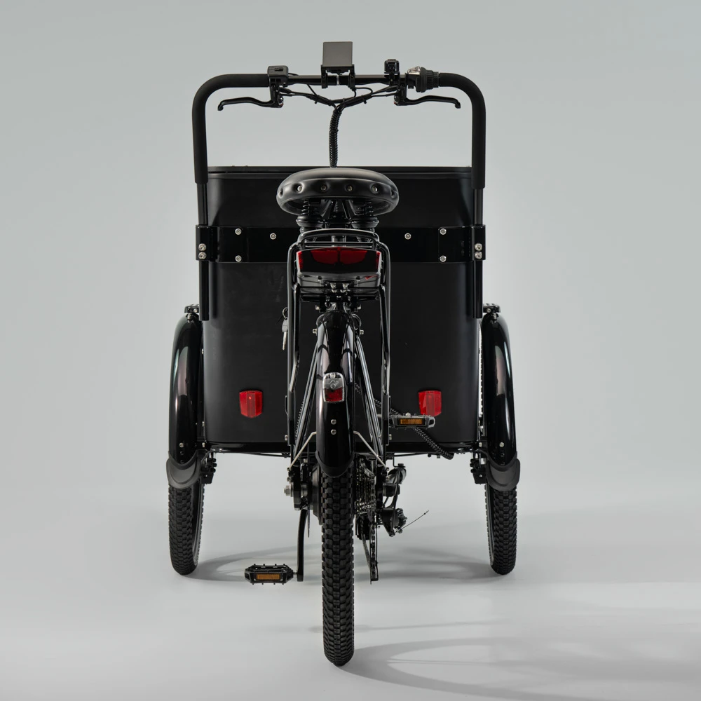 Electric cargo bike CARGOBIKE of SWEDEN Flex Box