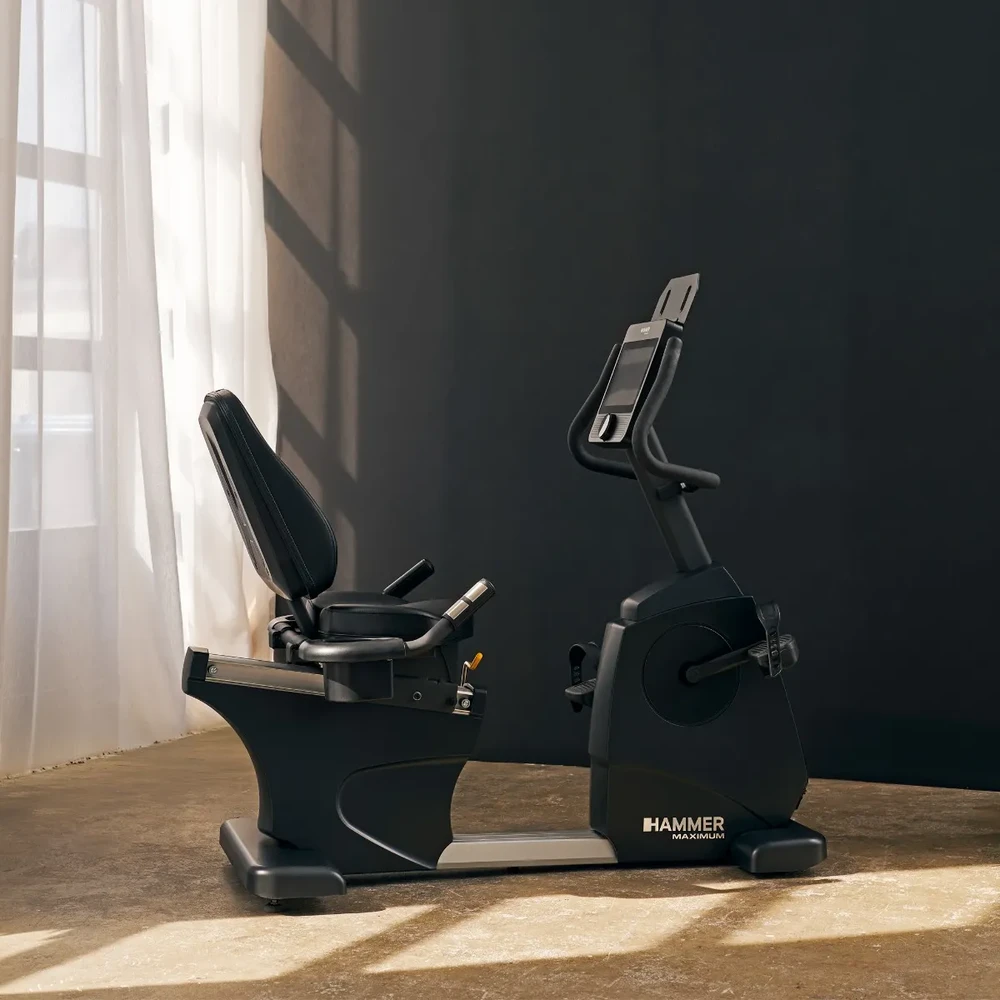 None Recumbent bike HAMMER RB 8000