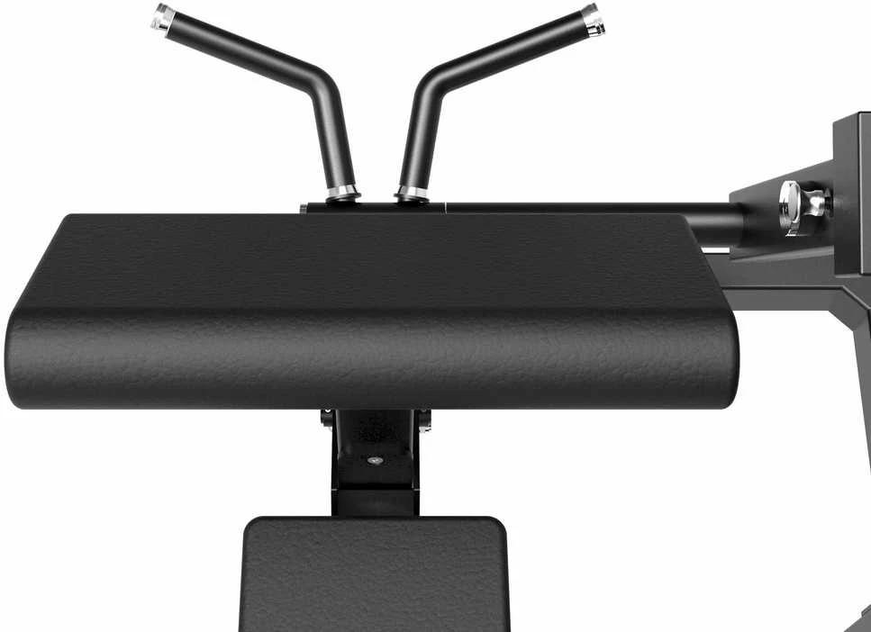 Jėgos staklės TUNTURI Platinum Bicep Curl Selectorized V-series