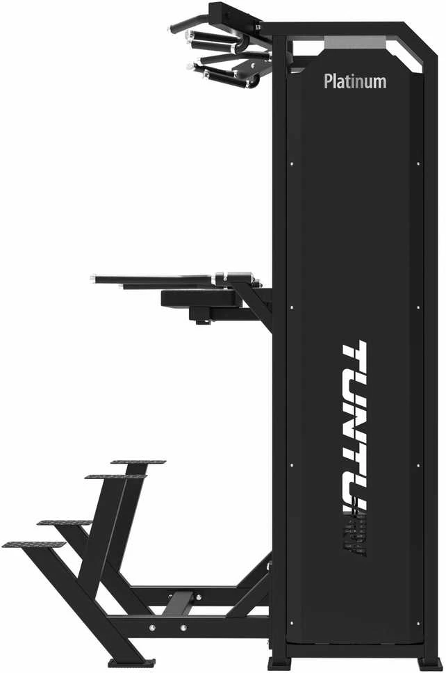 None Jėgos staklės TUNTURI Platinum Dual Assisted Chin Up / Dip Selectorized V-series