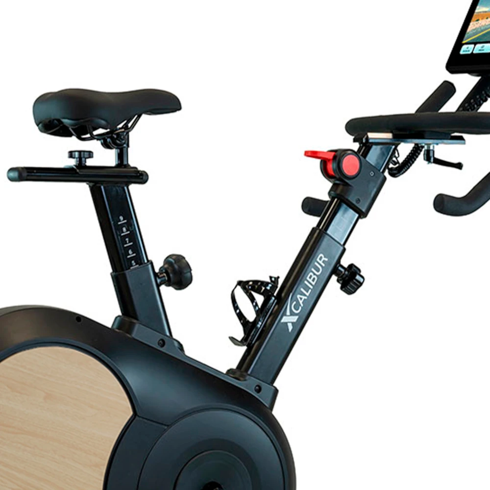 None Verpimo ratas BH FITNESS Xcalibur Multimedia