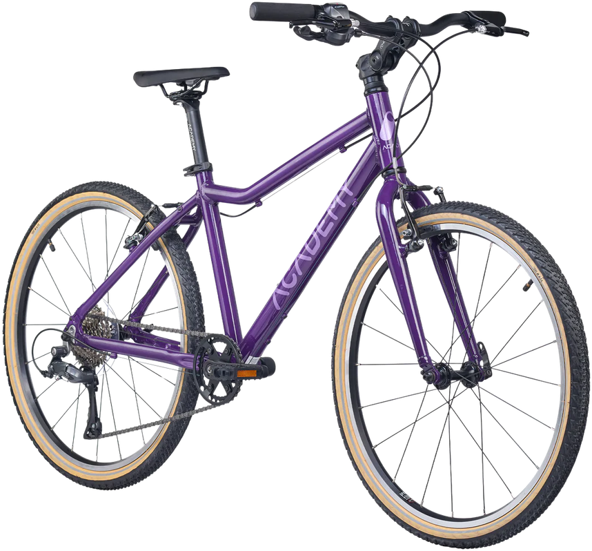 None Ultralight children's bike ACADEMY Grade 5, 24" Violetinė