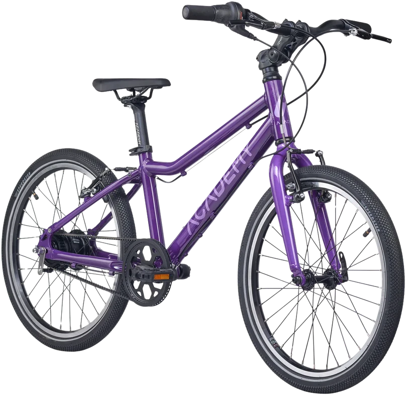 None Ultralengvas vaikiškas dviratis ACADEMY 4 klasės diržas, 20" Violetinė