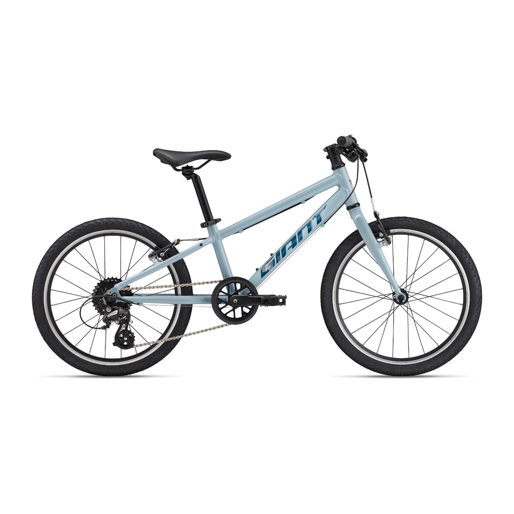 Vaikiškas kalnų dviratis Giant ARX 24 | Soap Suds (2025 m.)