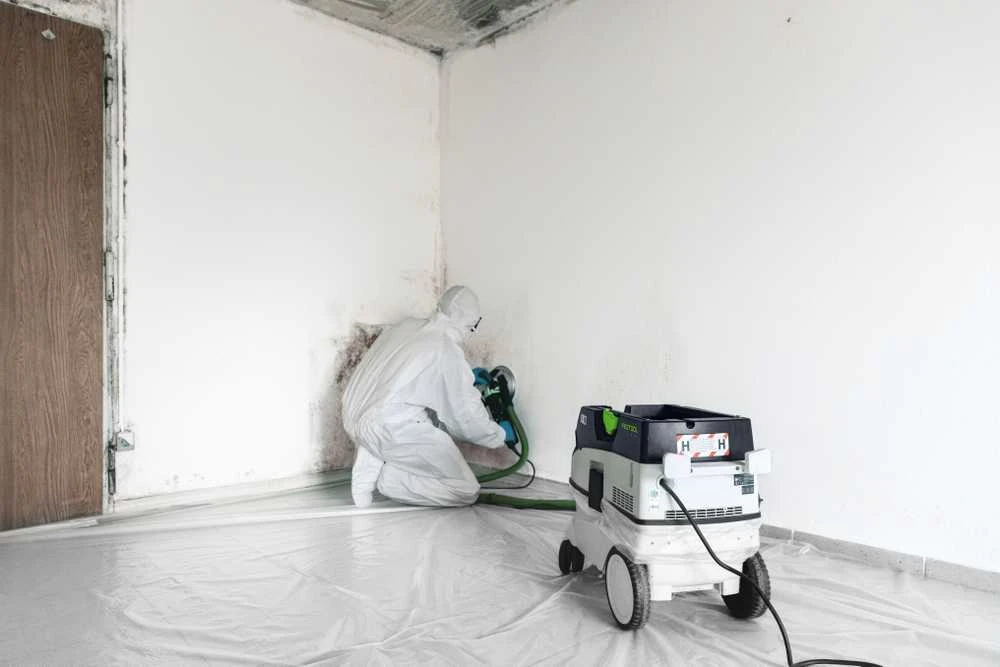 Mobilus dulkių siurblys CLEANTEC CTH 26 EI