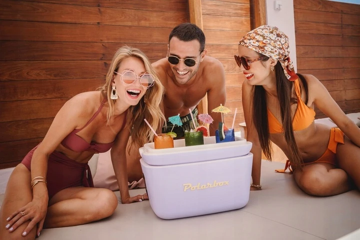 12L Auksinė ruda šaldymo dėžė POLARBOX