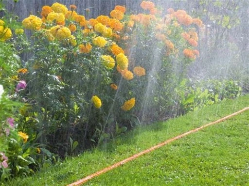 3 kanalų laistymo žarna - 15 m "SPRITZ HOSE" WSH15