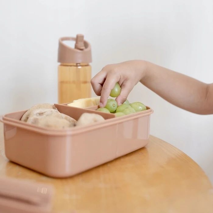 3 Sprouts 3 daigai – priešpiečių dėžutė, rūdys – (IBBSRT)