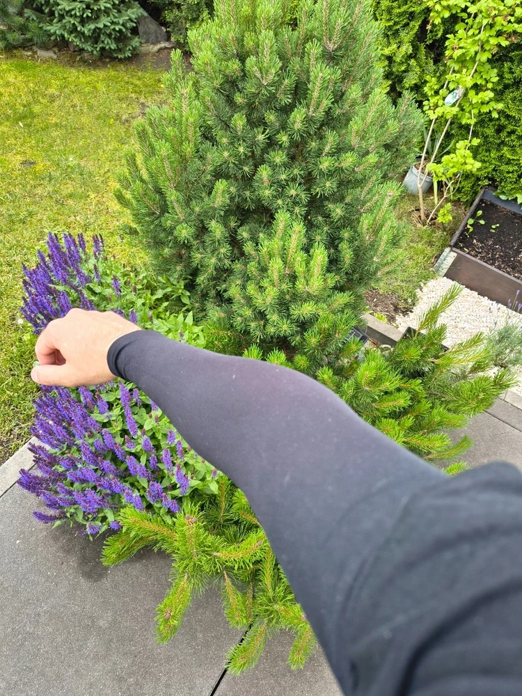 4 vnt. tatuiruotės apsauginė rankovė, policijos uniforma, rankovė, apsauga nuo UV spindulių