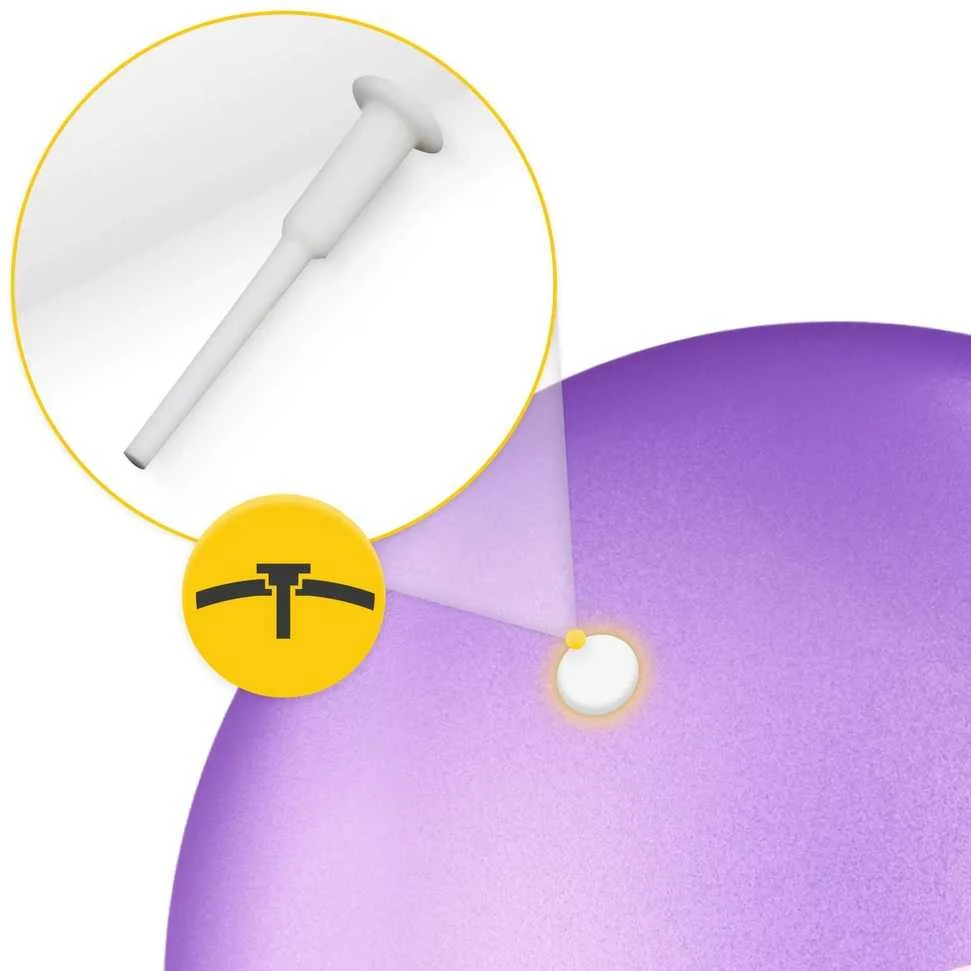 4Fizjo Pilateso ir reabilitacijos kamuolys 22 cm violetinis