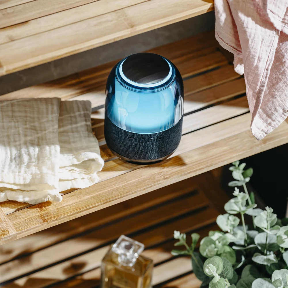 Adler Speaker | AD 1904 | 8 W | Bluetooth | Belaidė jungtis | Portable | Juodas