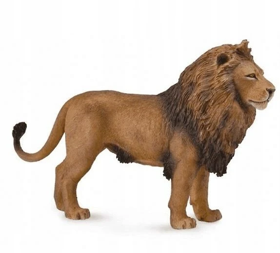 Collecta Figūrėlė Afrikinis liūtas (L)