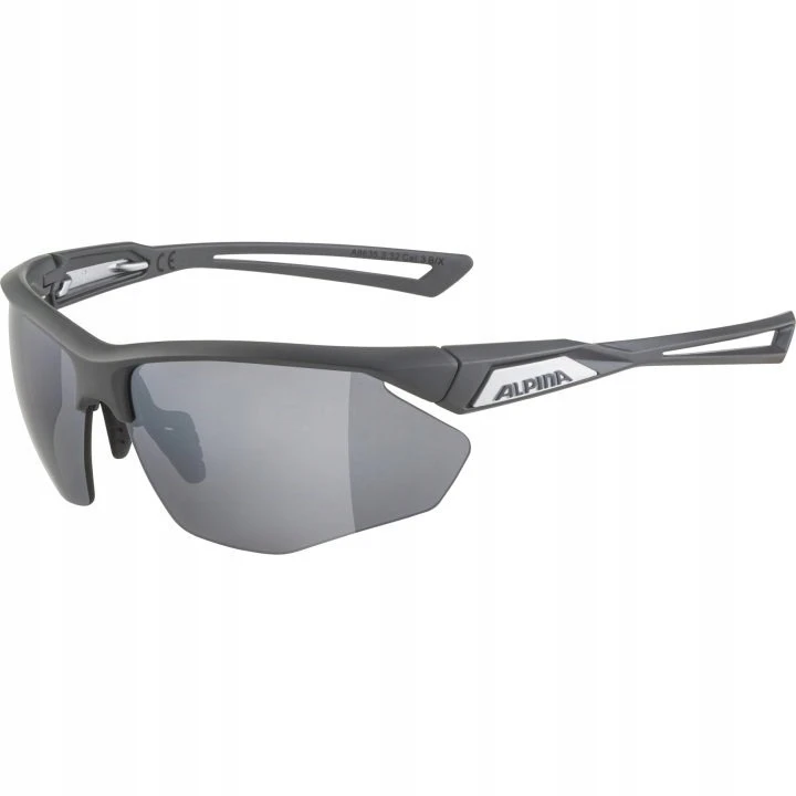 Alpina Nylos HR Sunglasses cat. 3 Pilkas